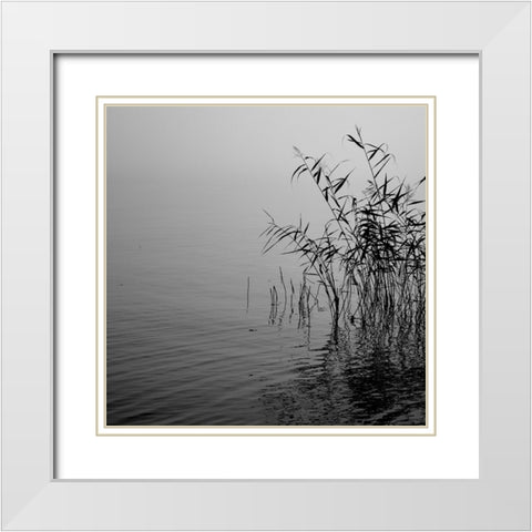 Mist over the lake 2021 White Modern Wood Framed Art Print with Double Matting by Riis, Poul-Erik