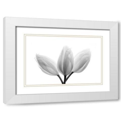 Trinity White Modern Wood Framed Art Print with Double Matting by Davidson, Peter