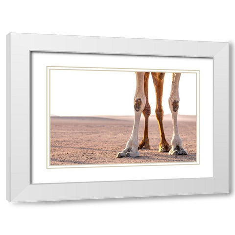 Miles White Modern Wood Framed Art Print with Double Matting by Visagie, Ane