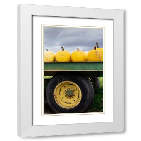Driving Pumpkins White Modern Wood Framed Art Print with Double Matting by Lou, Linda