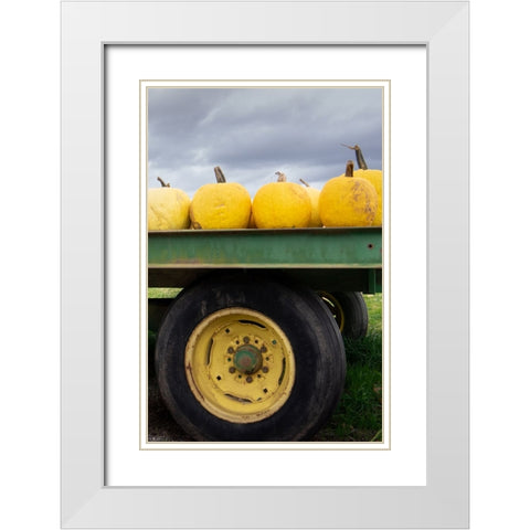 Driving Pumpkins White Modern Wood Framed Art Print with Double Matting by Lou, Linda