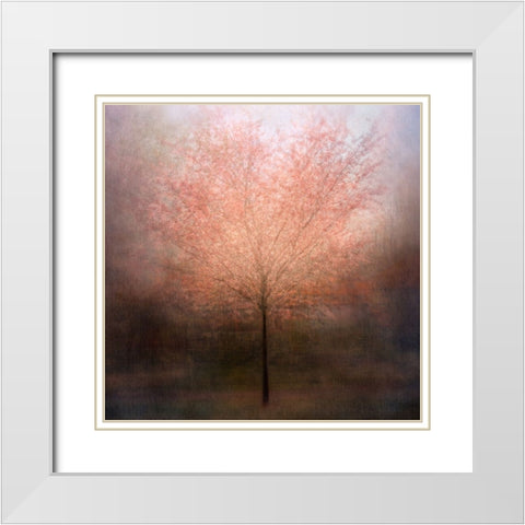 Dream Come True White Modern Wood Framed Art Print with Double Matting by Holmstrom, Katarina