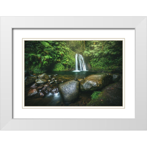 Guadeloupe - Cascade Aux A?Crivisses White Modern Wood Framed Art Print with Double Matting by Claude Castor, Jean
