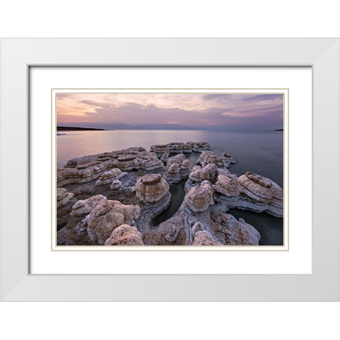 Salted Mushrooms White Modern Wood Framed Art Print with Double Matting by Artzi, Bar