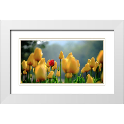 Untitled White Modern Wood Framed Art Print with Double Matting by Hall, Harry