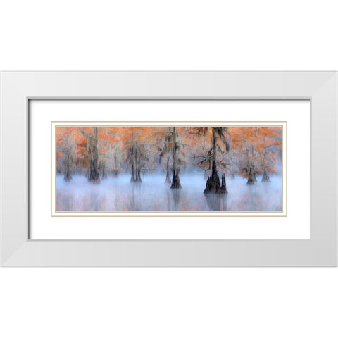 Caddo Lake White Modern Wood Framed Art Print with Double Matting by Zhu, Hua