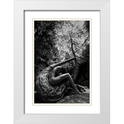 Wild White Modern Wood Framed Art Print with Double Matting by Mannini, Roberto