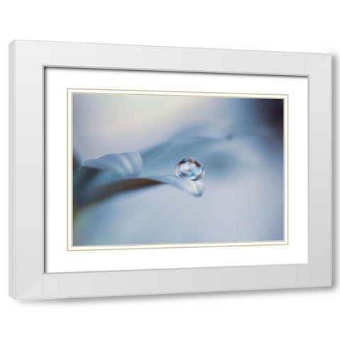 Non mi lasciare White Modern Wood Framed Art Print with Double Matting by Bonazza, Lara
