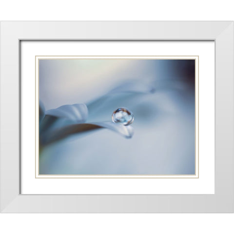 Non mi lasciare White Modern Wood Framed Art Print with Double Matting by Bonazza, Lara