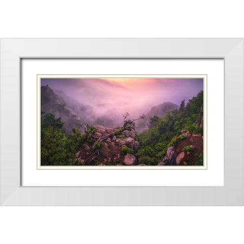 New Life White Modern Wood Framed Art Print with Double Matting by Seo, Tiger