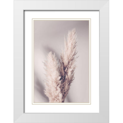 Pampas Grass White Modern Wood Framed Art Print with Double Matting by 1x Studio III