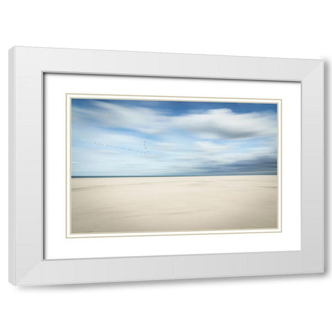 Birds At The Seaside White Modern Wood Framed Art Print with Double Matting by Reichelt, Dieter