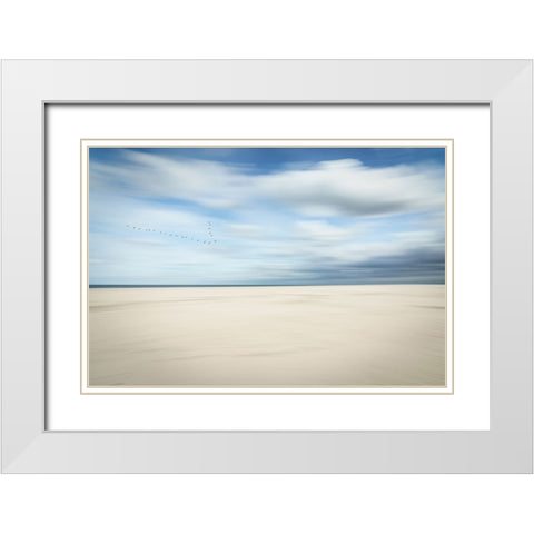 Birds At The Seaside White Modern Wood Framed Art Print with Double Matting by Reichelt, Dieter