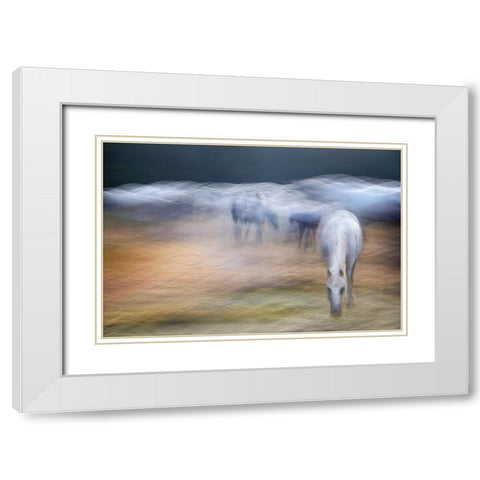On the pasture White Modern Wood Framed Art Print with Double Matting by Malovrh, Milan