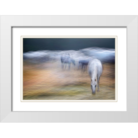 On the pasture White Modern Wood Framed Art Print with Double Matting by Malovrh, Milan