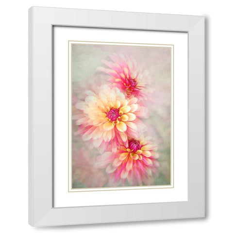 Trio White Modern Wood Framed Art Print with Double Matting by Parker, Jacky