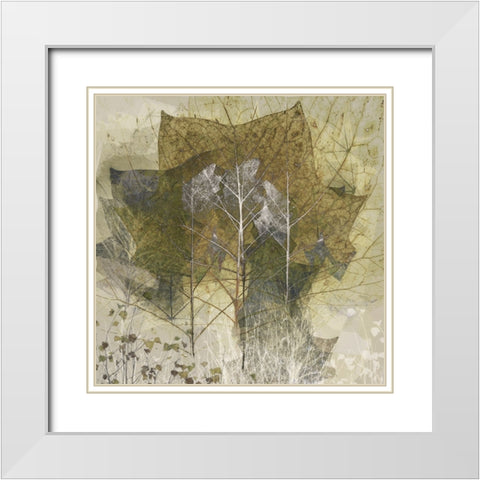 Transient White Modern Wood Framed Art Print with Double Matting by Talen, Nel