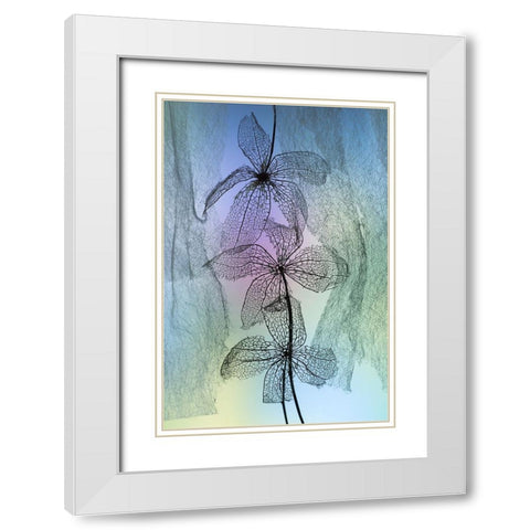 3 Flowers White Modern Wood Framed Art Print with Double Matting by Kowatari, Shihya