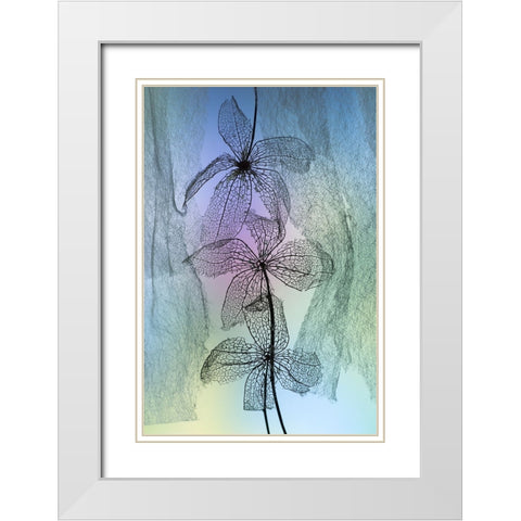 3 Flowers White Modern Wood Framed Art Print with Double Matting by Kowatari, Shihya