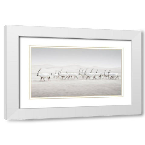 Movement White Modern Wood Framed Art Print with Double Matting by Newton, Dan