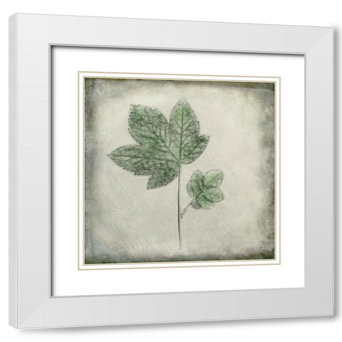 Before the Decay White Modern Wood Framed Art Print with Double Matting by Kiral, Cicek
