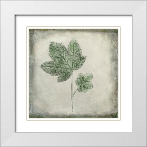 Before the Decay White Modern Wood Framed Art Print with Double Matting by Kiral, Cicek