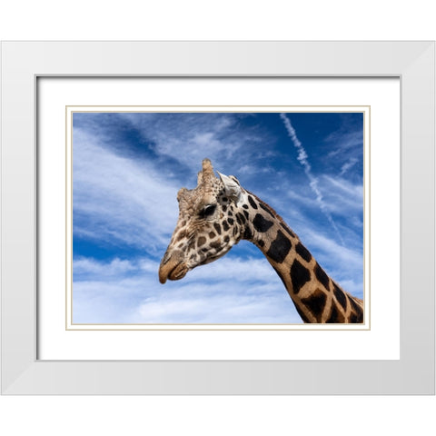 Head in the clouds White Modern Wood Framed Art Print with Double Matting by Lehneman, Dave