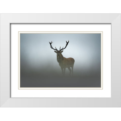 Ephemerality White Modern Wood Framed Art Print with Double Matting by Rudchenko, Olga