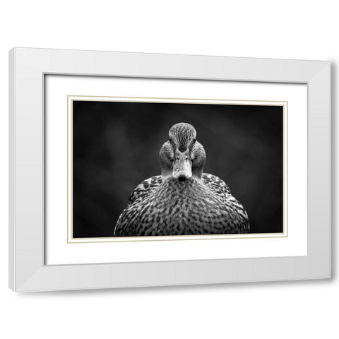 Look at me White Modern Wood Framed Art Print with Double Matting by Pfeiffer, Peter