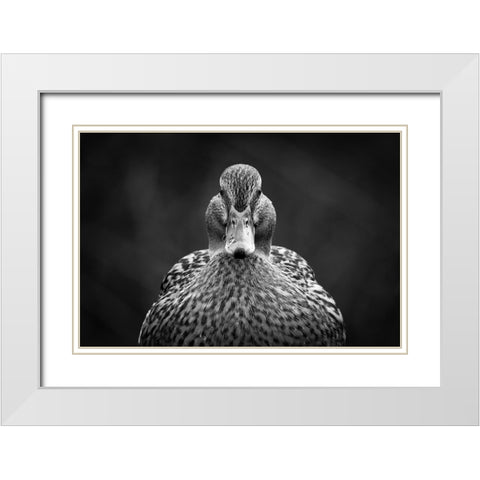 Look at me White Modern Wood Framed Art Print with Double Matting by Pfeiffer, Peter