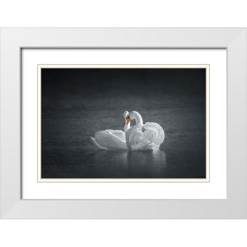 Public Display of Affection White Modern Wood Framed Art Print with Double Matting by Hu, Mei