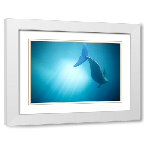 Velure Moana White Modern Wood Framed Art Print with Double Matting by Lintaman, Adachi