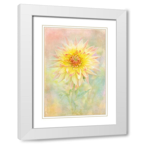Lemon Spritz White Modern Wood Framed Art Print with Double Matting by Parker, Jacky