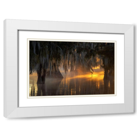 Under Spanish Moss White Modern Wood Framed Art Print with Double Matting by Mao, Dianne