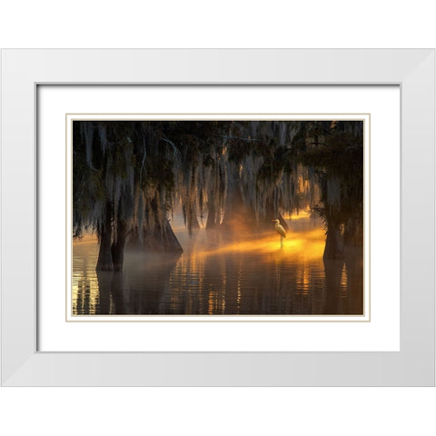 Under Spanish Moss White Modern Wood Framed Art Print with Double Matting by Mao, Dianne