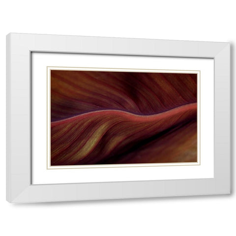 The Red Desert Dunes White Modern Wood Framed Art Print with Double Matting by Wechsler, Robin