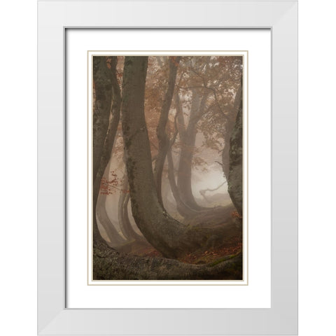 twisted beeches White Modern Wood Framed Art Print with Double Matting by Marchegiani, Roberto