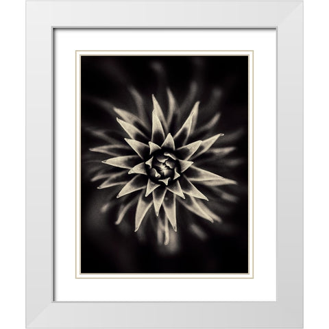Star. White Modern Wood Framed Art Print with Double Matting by Salem, Saad