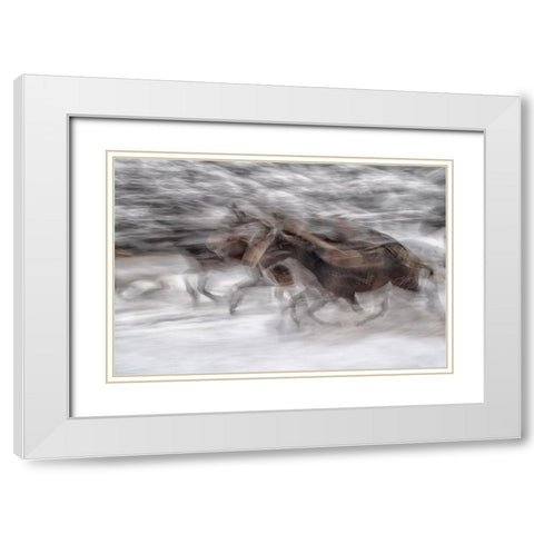 black dominance White Modern Wood Framed Art Print with Double Matting by Malovrh, Milan