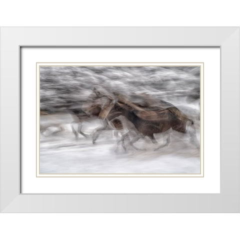black dominance White Modern Wood Framed Art Print with Double Matting by Malovrh, Milan