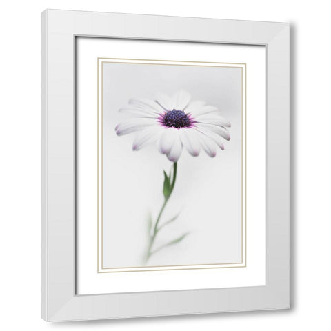 In My Garden_3 White Modern Wood Framed Art Print with Double Matting by Grambone, Antonio