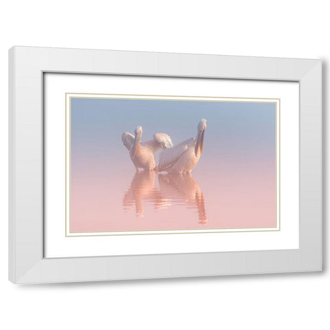 Two Pelicans White Modern Wood Framed Art Print with Double Matting by Rublina, Natalia