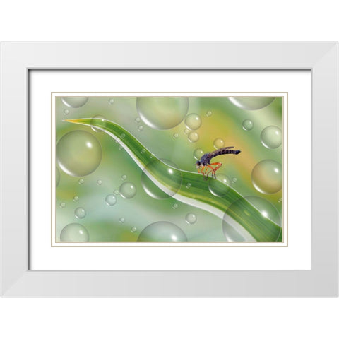 Migration To Another Planet... White Modern Wood Framed Art Print with Double Matting by Dufour, Thierry