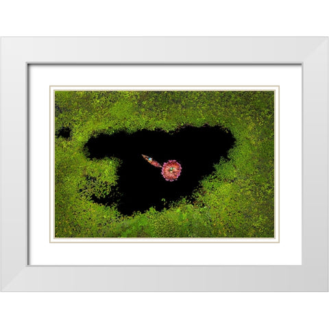 Harvesting Waterlily White Modern Wood Framed Art Print with Double Matting by Adikary, Sujon