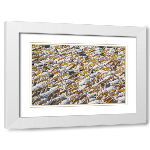 Pelican Parade White Modern Wood Framed Art Print with Double Matting by Rublina, Natalia