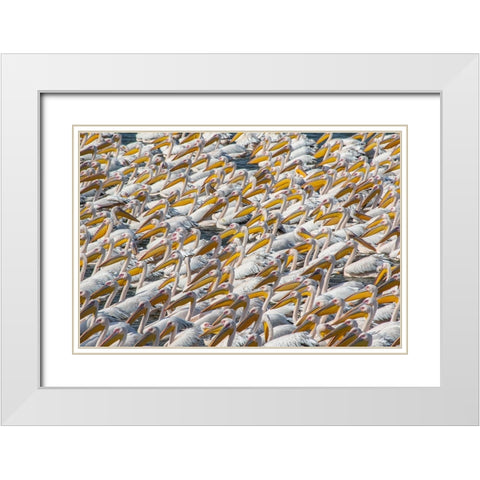 Pelican Parade White Modern Wood Framed Art Print with Double Matting by Rublina, Natalia