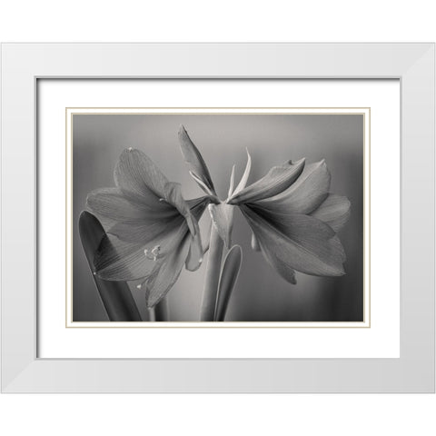 Elegance White Modern Wood Framed Art Print with Double Matting by Rauwerdink, Jan