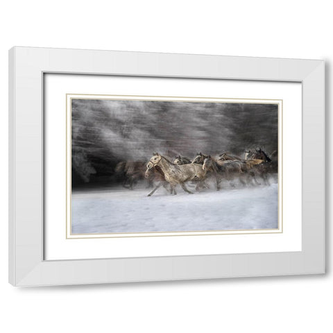 Winter joy White Modern Wood Framed Art Print with Double Matting by Malovrh, Milan