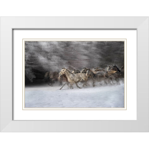 Winter joy White Modern Wood Framed Art Print with Double Matting by Malovrh, Milan