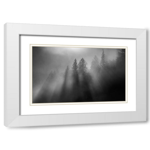 wintersun White Modern Wood Framed Art Print with Double Matting by Dauer, Andy